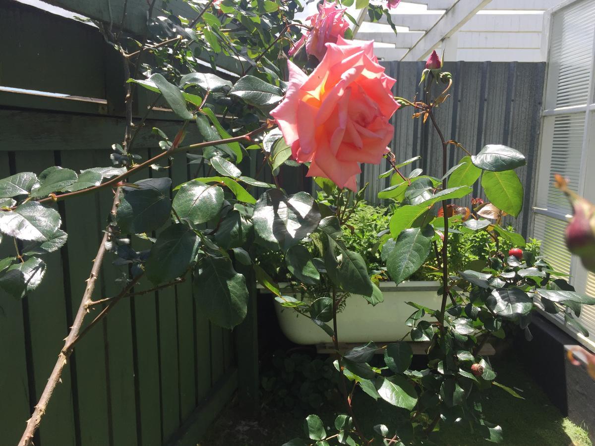 Cambridge Cottage - Self Catering Holiday House Eksteriør bilde